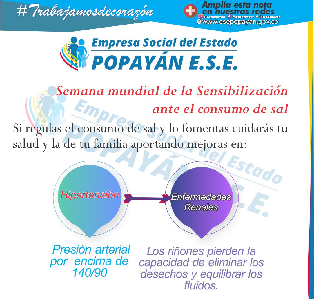 no al esceso de sal