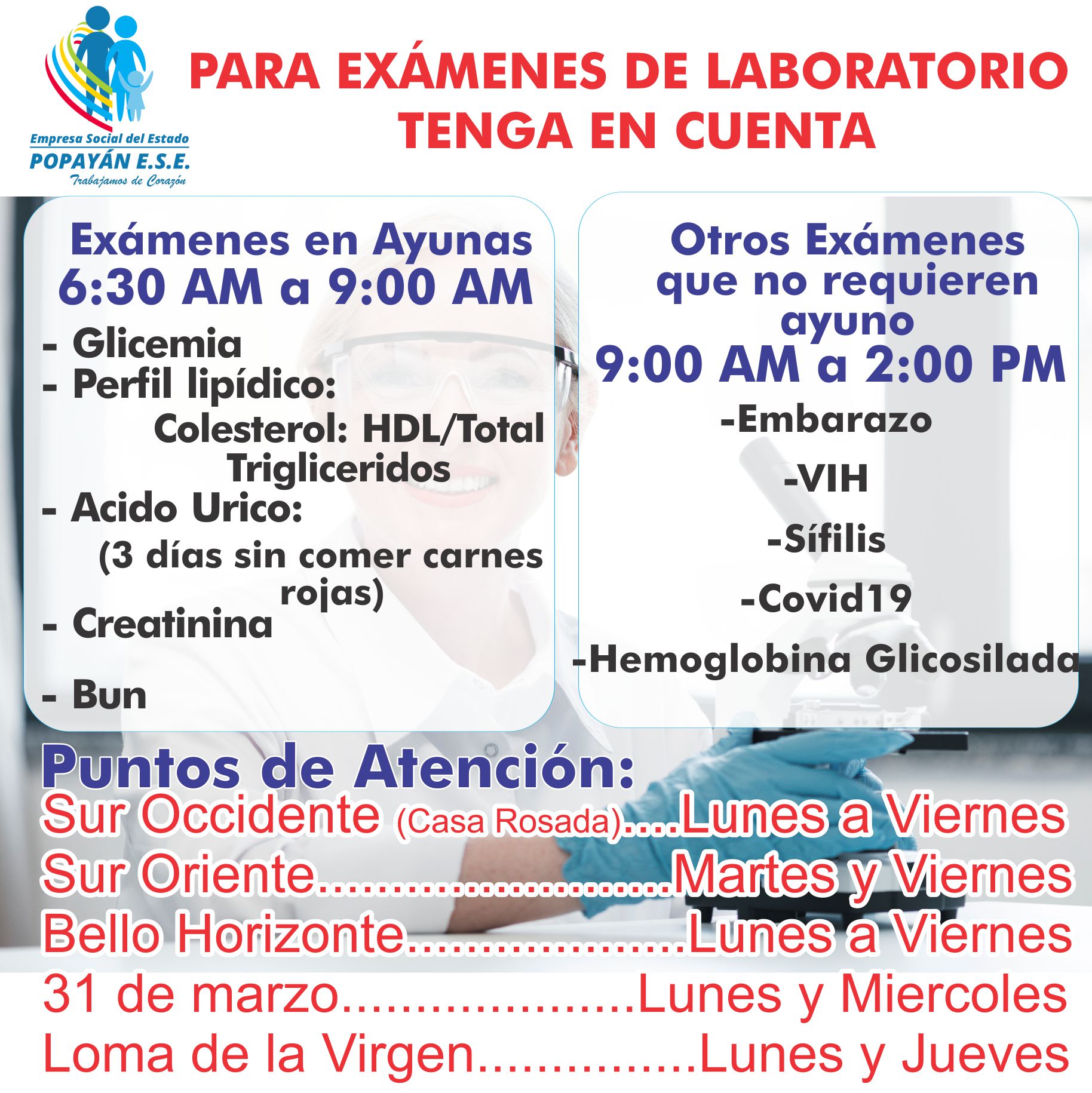 lab